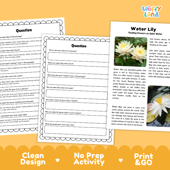 Water Lily Plant Reading Passages and Comprehension Questions Worksheets