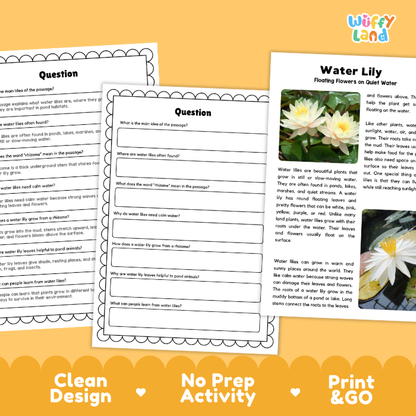 Water Lily Plant Reading Passages and Comprehension Questions Worksheets