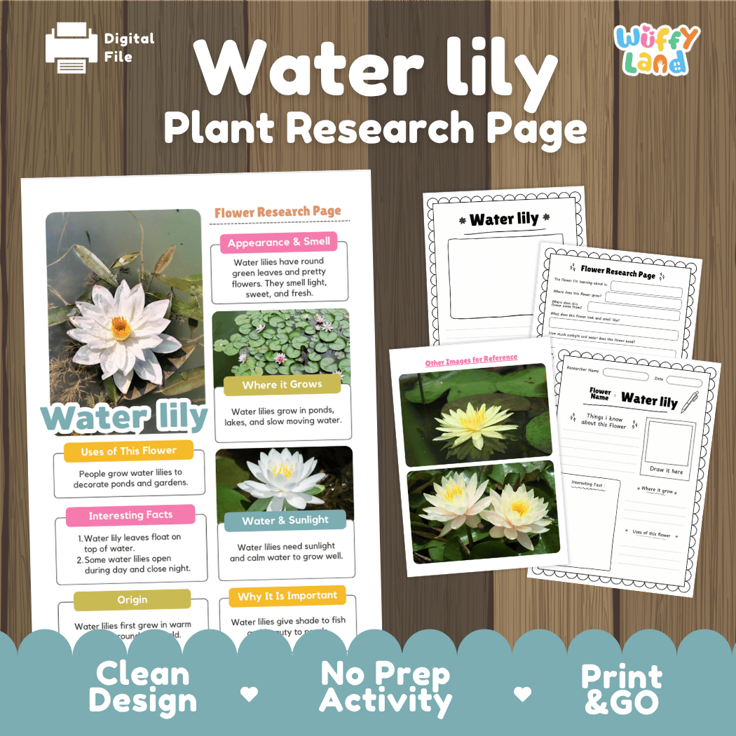 Water Lily Plant Research Page and Worksheets Print and Go Activity