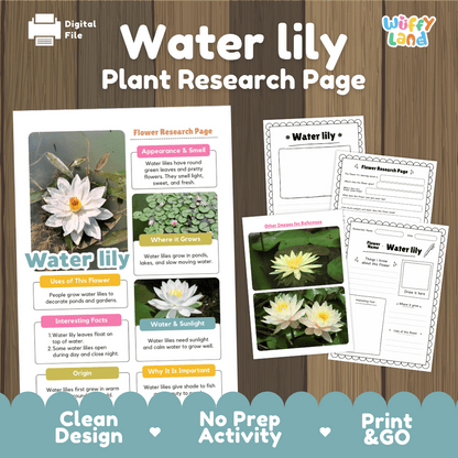 Water Lily Plant Research Page and Worksheets Print and Go Activity