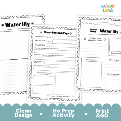 Water Lily Plant Research Page and Worksheets Print and Go Activity