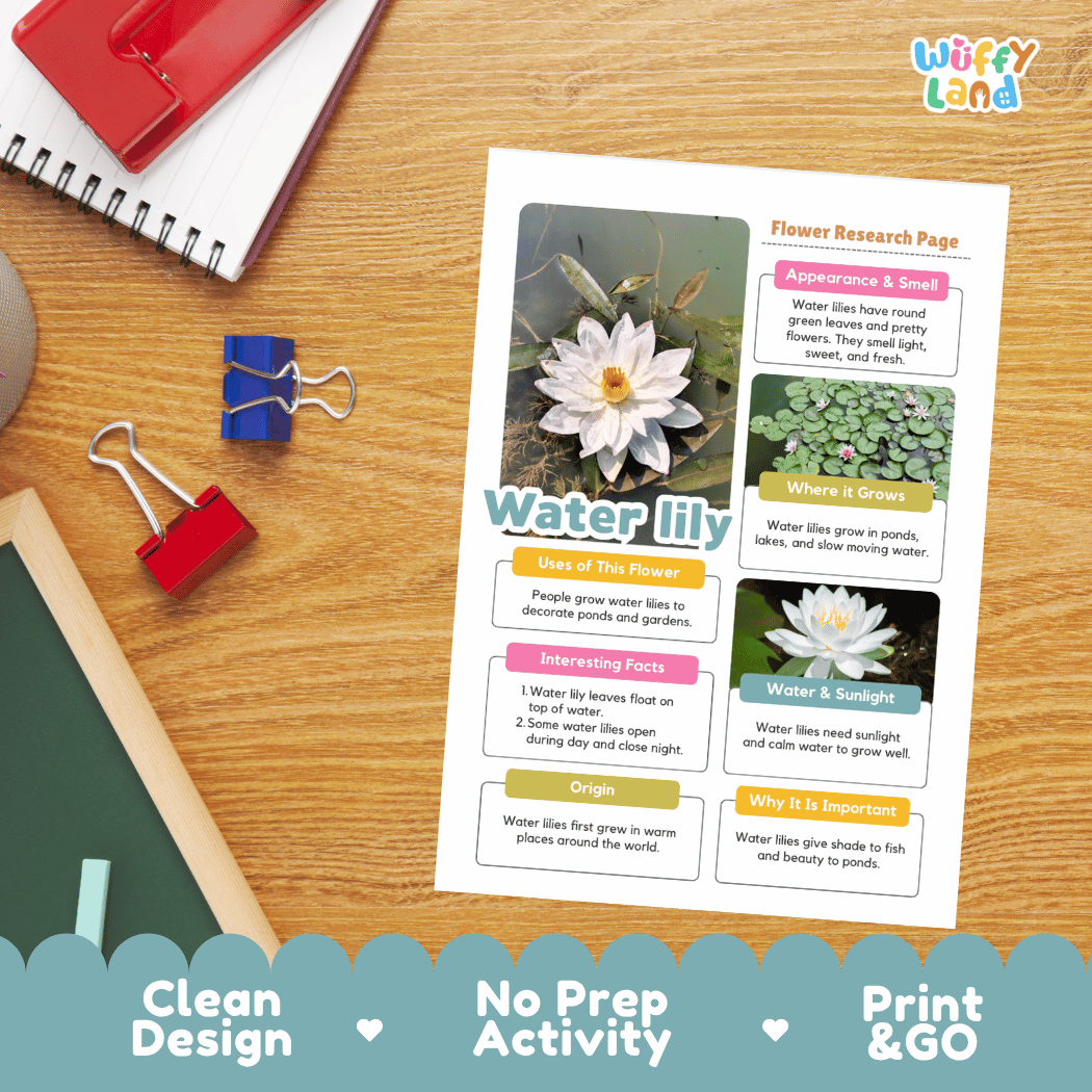 Water Lily Plant Research Page and Worksheets Print and Go Activity