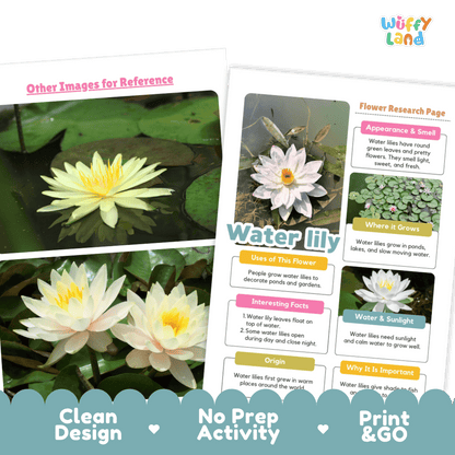 Water Lily Plant Research Page and Worksheets Print and Go Activity