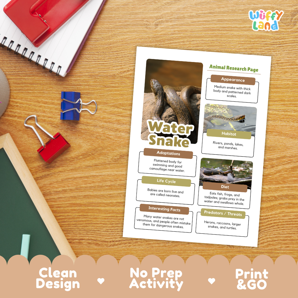 A printed animal research page titled 'Water Snake' with text boxes, habitat photos, and an animal photo, displayed on a wooden desk with notebooks, binder clips, and a chalkboard. The page has a clean design and no prep activity, with 'Print & GO' text along the bottom.