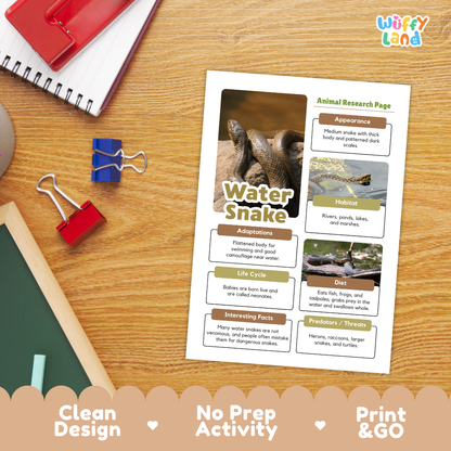 A printed animal research page titled 'Water Snake' with text boxes, habitat photos, and an animal photo, displayed on a wooden desk with notebooks, binder clips, and a chalkboard. The page has a clean design and no prep activity, with 'Print & GO' text along the bottom.
