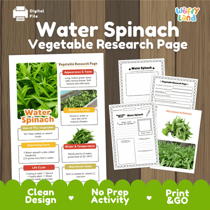 Water Spinach Vegetable Research Page Science Worksheets and Fact Sheet