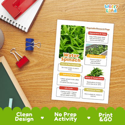 Water Spinach Vegetable Research Page Science Worksheets and Fact Sheet