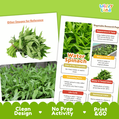 Water Spinach Vegetable Research Page Science Worksheets and Fact Sheet