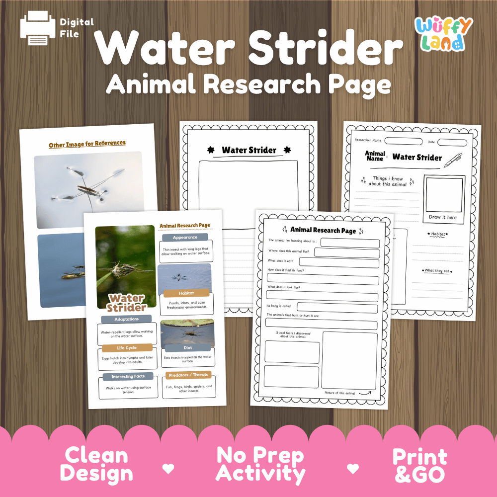 Water Strider Animal Research Worksheets and Informational Fact Sheets