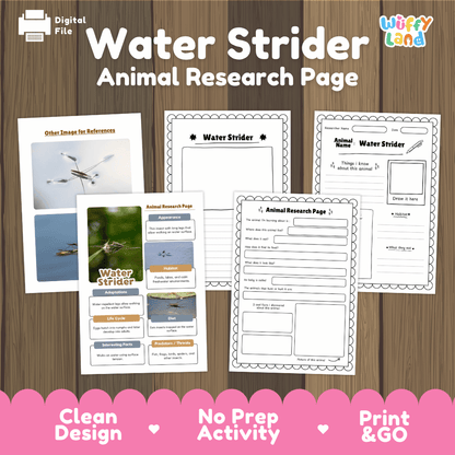 Water Strider Animal Research Worksheets and Informational Fact Sheets