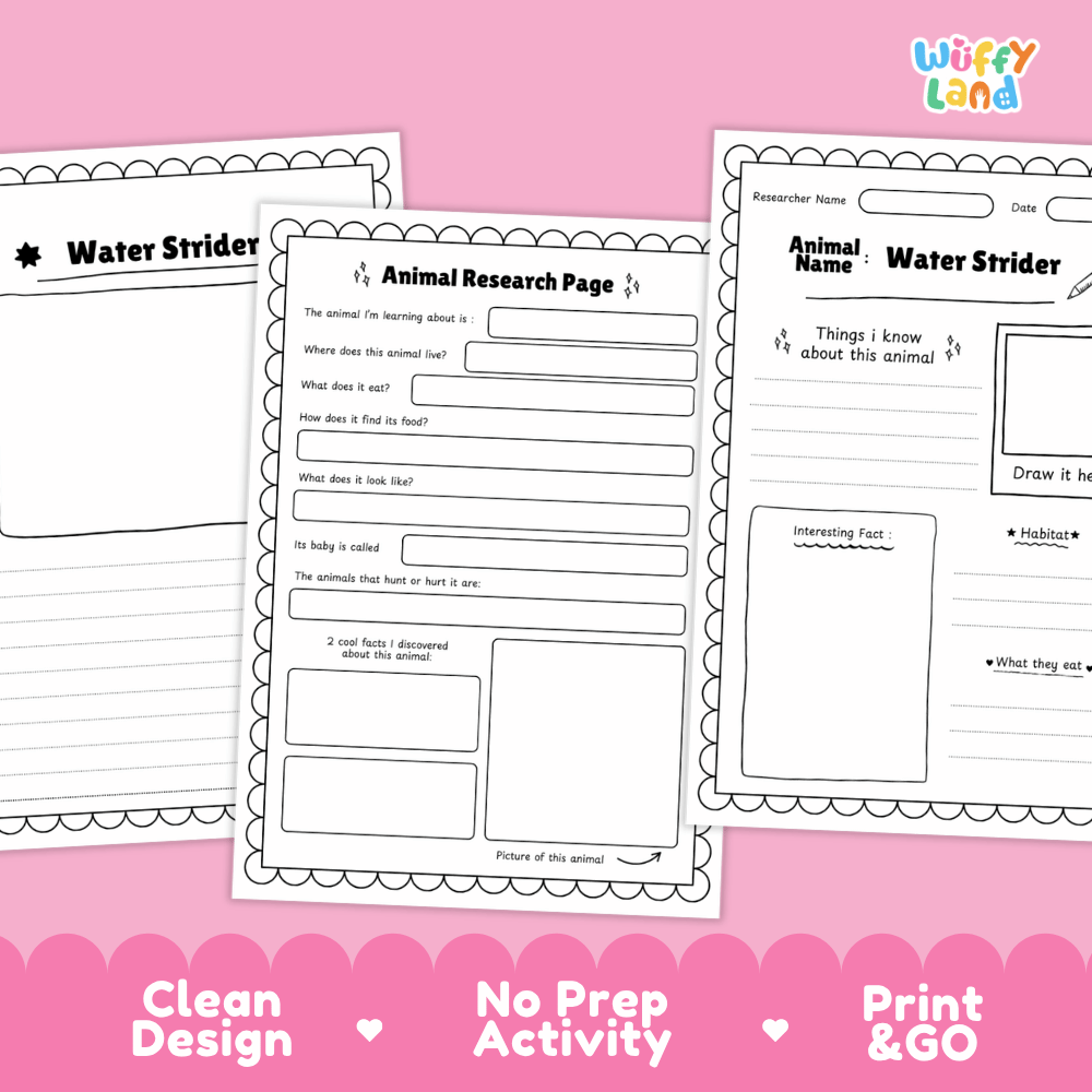 Water Strider Animal Research Worksheets and Informational Fact Sheets