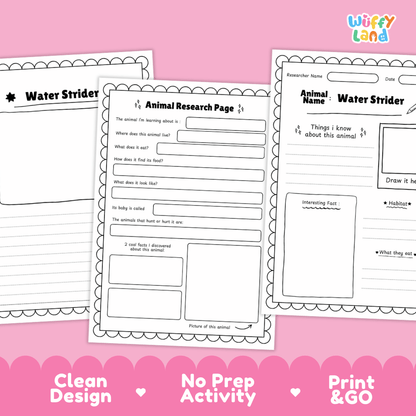 Water Strider Animal Research Worksheets and Informational Fact Sheets