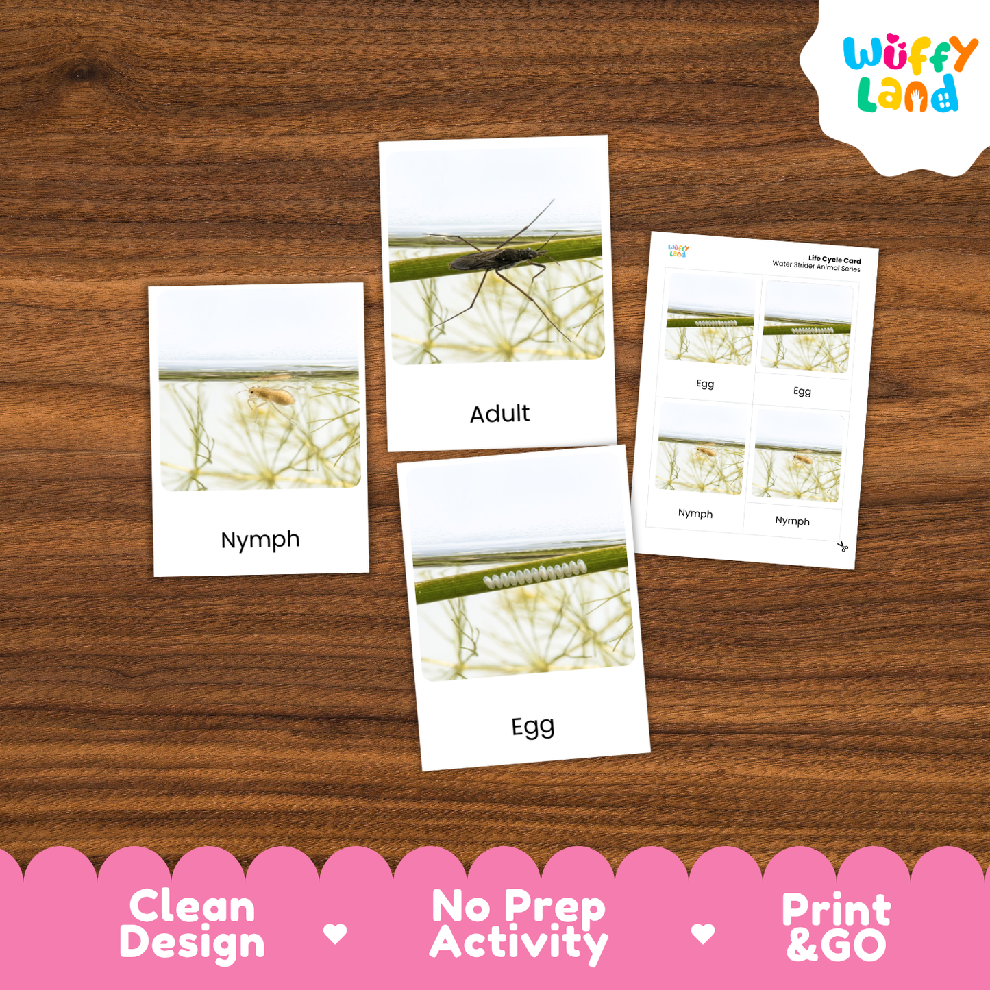 Three printed activity cards for a nature-themed matching game are arranged on a brown wood surface. The cards show labeled photos of a nymph, adult insect, and egg, plus a sheet with multiple nymph photos.