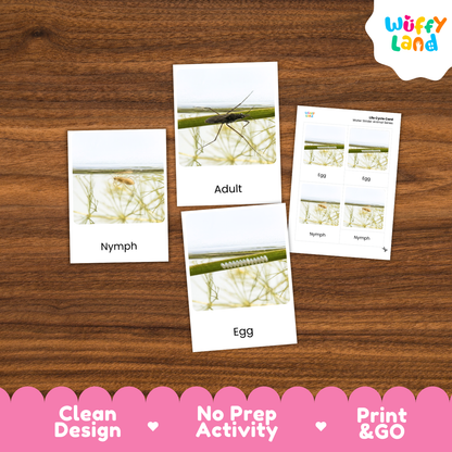 Three printed activity cards for a nature-themed matching game are arranged on a brown wood surface. The cards show labeled photos of a nymph, adult insect, and egg, plus a sheet with multiple nymph photos.