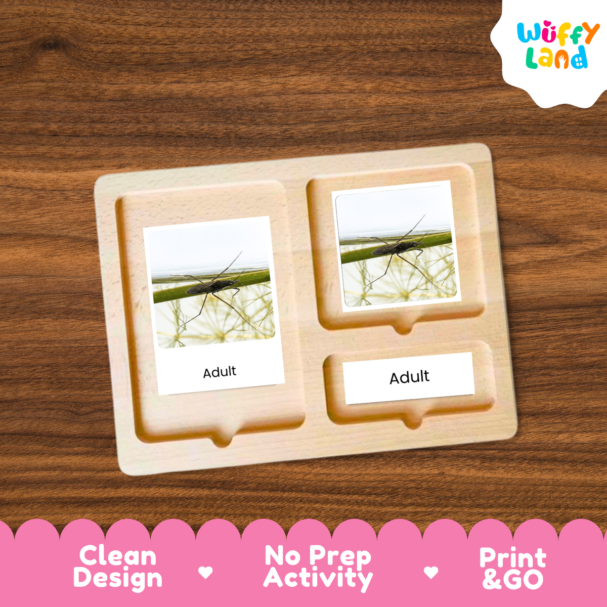 A wooden Montessori-style activity tray with two labeled slots reading 'Adult' and photos of an adult mosquito, shown on a wood-grain background. A 'Wuffy Land' logo appears in the top right, and a pink banner at the bottom highlights 'Clean Design', 'No Prep Activity', and 'Print & GO'.