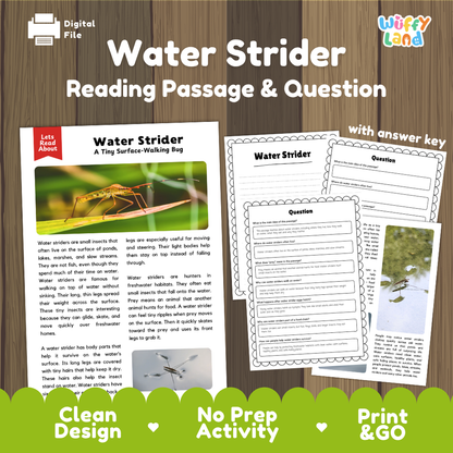 Water Strider Reading Passage and Comprehension Questions with Answer Key