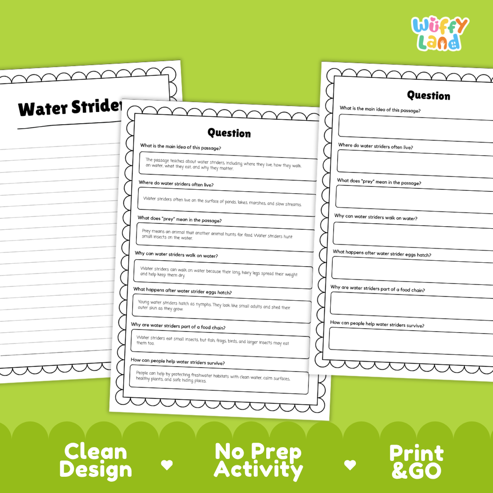Water Strider Reading Passage and Comprehension Questions with Answer Key