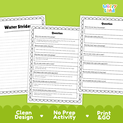 Water Strider Reading Passage and Comprehension Questions with Answer Key
