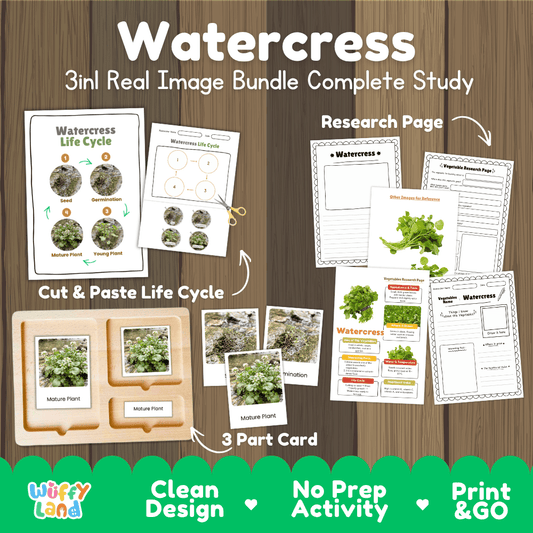 Watercress 3in1 real image bundle complete study printable featuring life cycle cut and paste worksheets, Montessori 3-part cards, and research pages