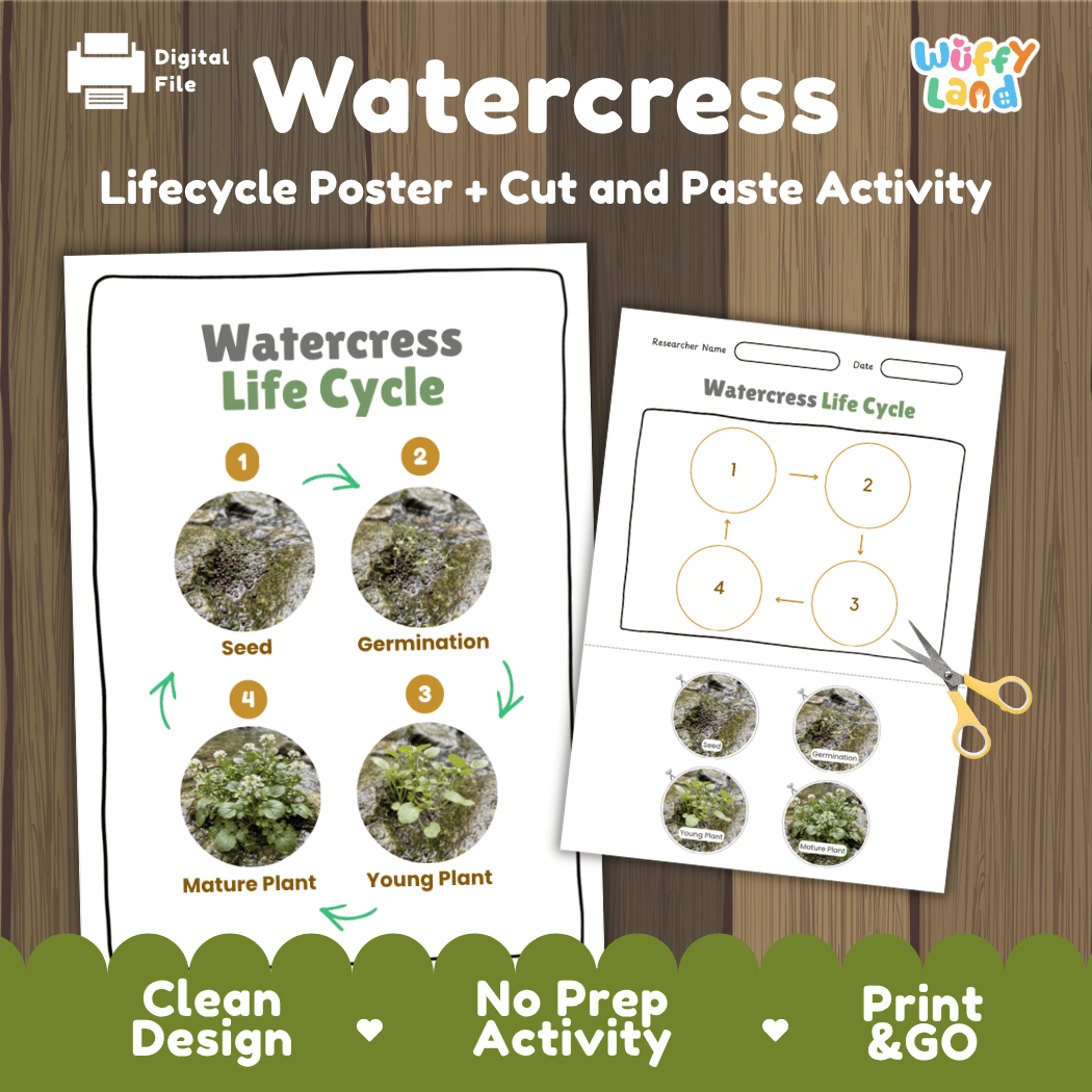 Watercress plant life cycle educational printable pack cover showing visual reference poster and cut and paste sequencing worksheet with real photography
