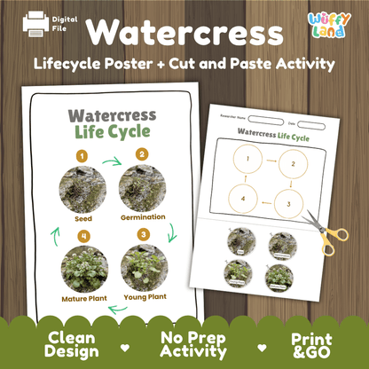Watercress plant life cycle educational printable pack cover showing visual reference poster and cut and paste sequencing worksheet with real photography