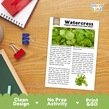 Student reading comprehension worksheet with short-answer questions and lined sections about watercress vegetables