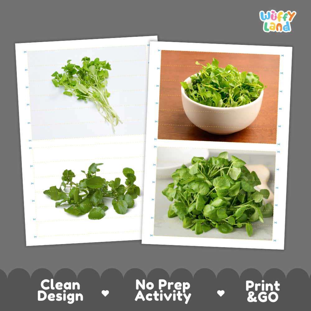 Printable activity sheets featuring photographic watercress puzzle boards and cutting guides