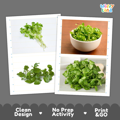 Printable activity sheets featuring photographic watercress puzzle boards and cutting guides