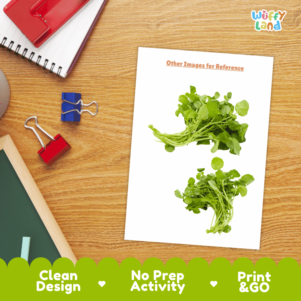 Watercress Vegetable Research Worksheets and Informational Fact Sheets