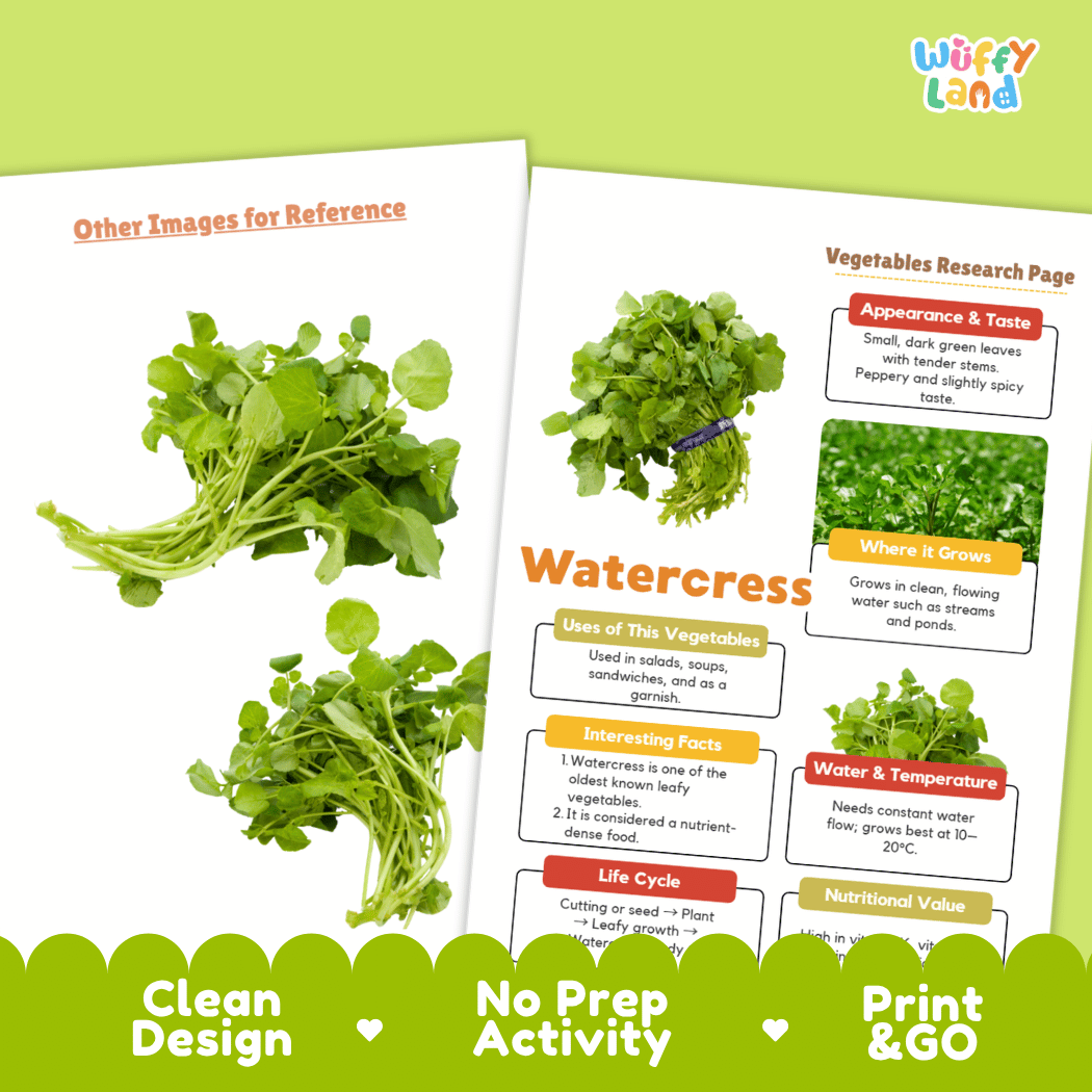 Watercress Vegetable Research Worksheets and Informational Fact Sheets