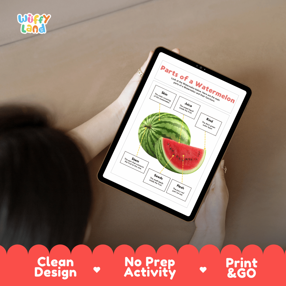 Educational cut and paste watermelon anatomy worksheet with printable word cutout tiles for skin, rind, stem, flesh, juice, and seeds