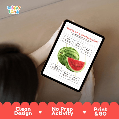 Educational cut and paste watermelon anatomy worksheet with printable word cutout tiles for skin, rind, stem, flesh, juice, and seeds