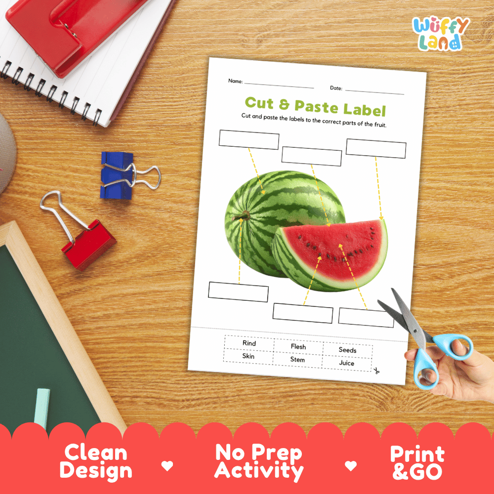 Printable plant biology worksheet showing sliced and whole fresh watermelons with blank labeling boxes and a vocabulary word bank for writing practice