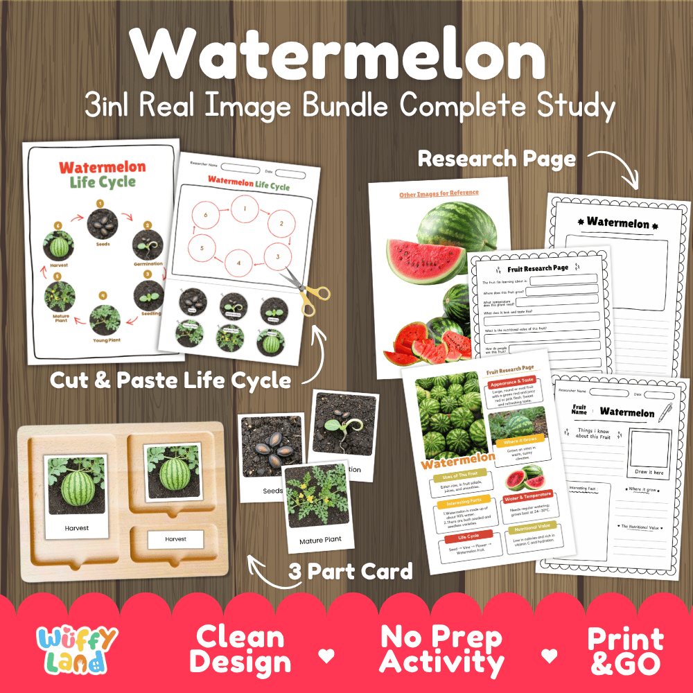Watermelon life cycle 3in1 real image bundle complete study overview featuring cut and paste worksheets, Montessori 3-part cards, and research pages from Wuffy Land 🍉🌱