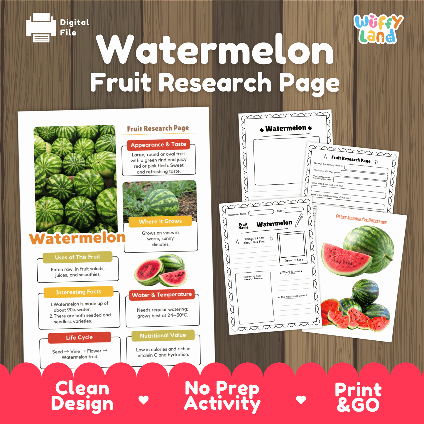 Watermelon Fruit Research Activity Worksheet Science Summer Life Cycle