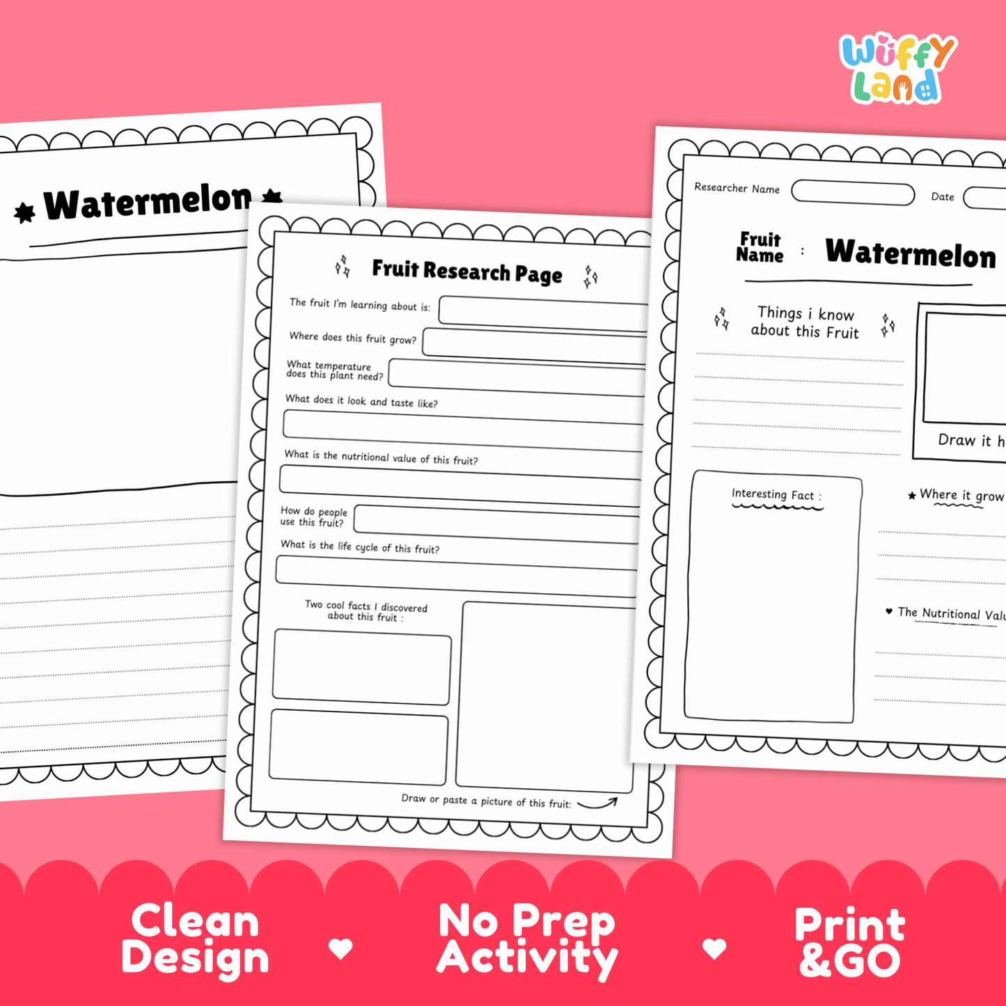 Watermelon Fruit Research Activity Worksheet Science Summer Life Cycle