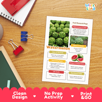 Watermelon Fruit Research Activity Worksheet Science Summer Life Cycle