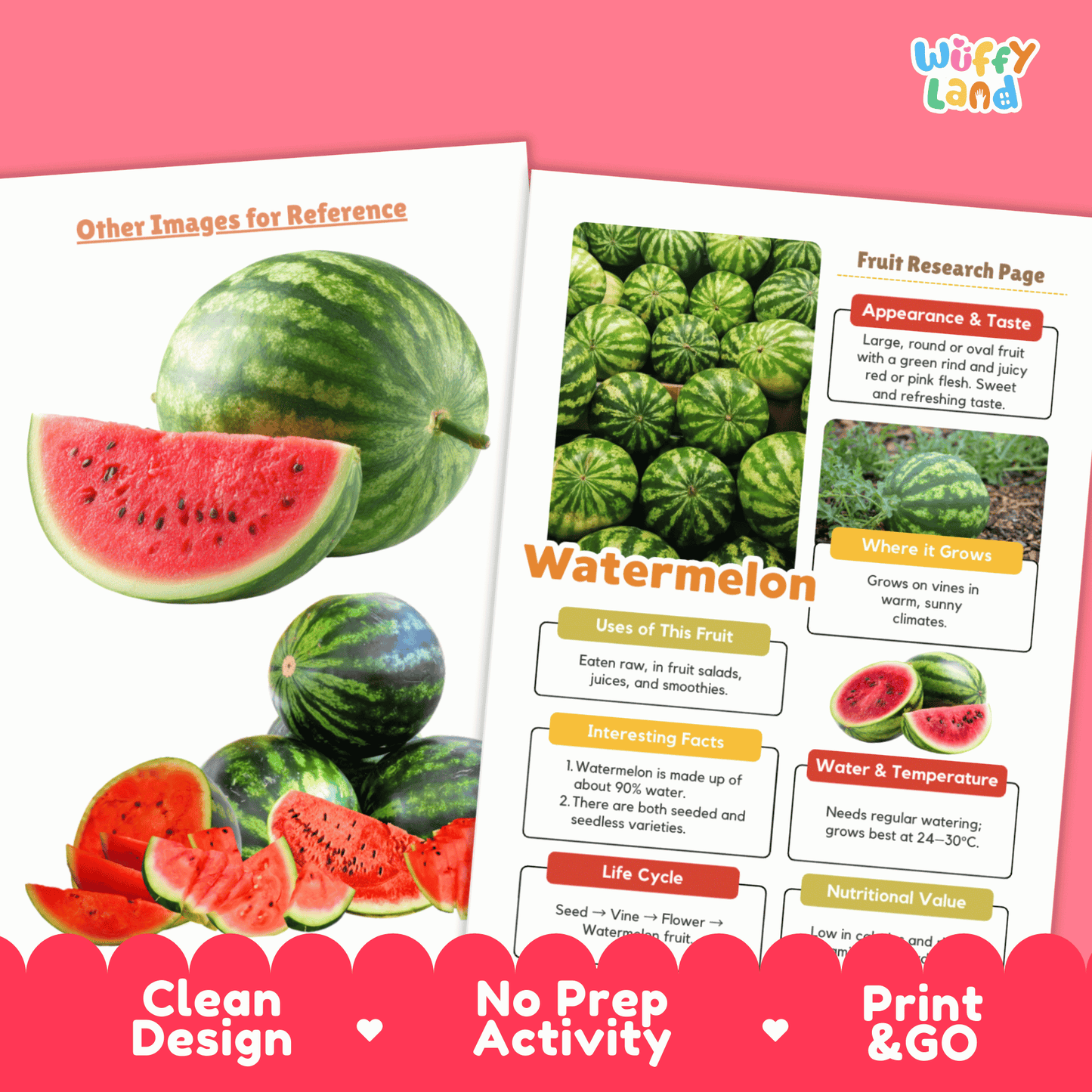 Watermelon Fruit Research Activity Worksheet Science Summer Life Cycle