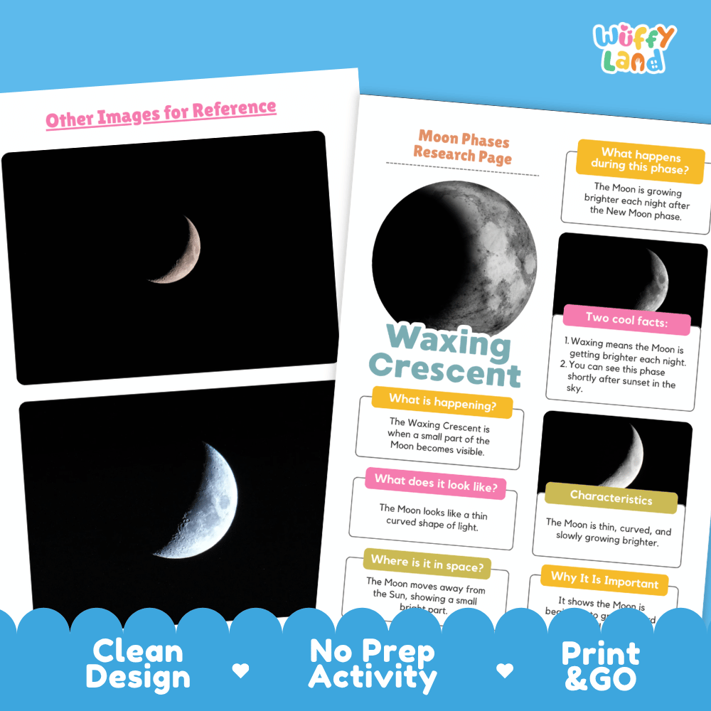 Two educational activity cards about moon phases from the brand Wiffly Land, displayed on a light blue background with a dark blue banner at the bottom highlighting key features like a clean design, no prep activity, and print & go use.