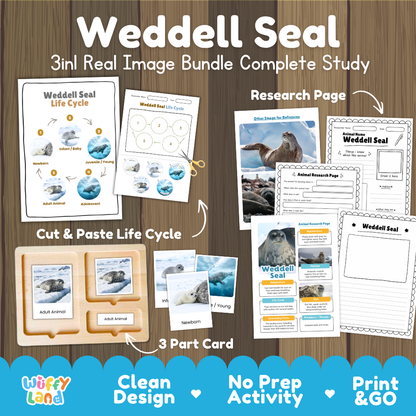 Weddell Seal 3-in-1 real image bundle complete study cover showing cut and paste life cycle, 3 part cards, and research pages