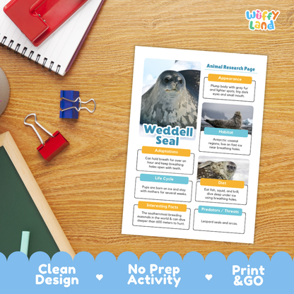 Weddell Seal Animal Research Page Worksheets