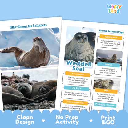 Weddell Seal Animal Research Page Worksheets