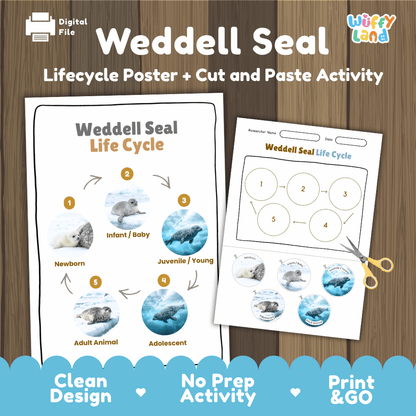 Weddell Seal Life Cycle Poster and Cut and Paste Worksheet Activity
