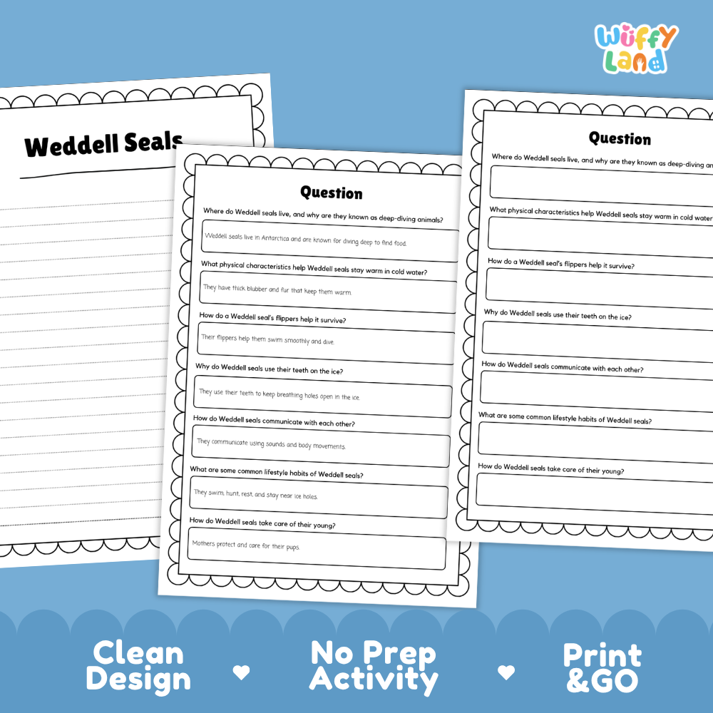 Three printable worksheet pages for a 'Weddell Seals' activity displayed on a blue background with promotional text reading 'Clean Design', 'No Prep Activity', and 'Print & GO'. The pages are white with black text and scalloped borders, and the 'Wiffly Land' brand logo appears in the top right.