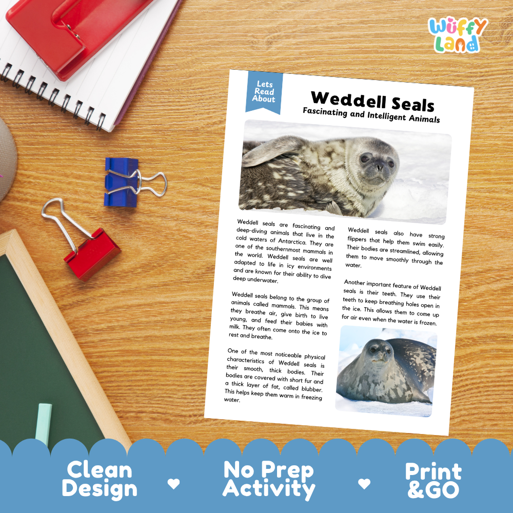 A printed educational activity sheet titled 'Weddell Seals Fascinating and Intelligent Animals' laid on a wooden desk, with a red notebook, blue and red binder clips, and a blue promotional banner at the bottom reading 'Clean Design', 'No Prep Activity', and 'Print & GO'.