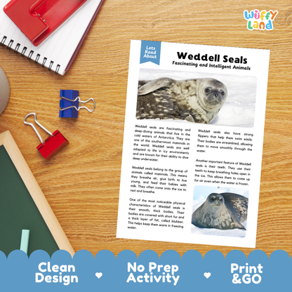 A printed educational activity sheet titled 'Weddell Seals Fascinating and Intelligent Animals' laid on a wooden desk, with a red notebook, blue and red binder clips, and a blue promotional banner at the bottom reading 'Clean Design', 'No Prep Activity', and 'Print & GO'.