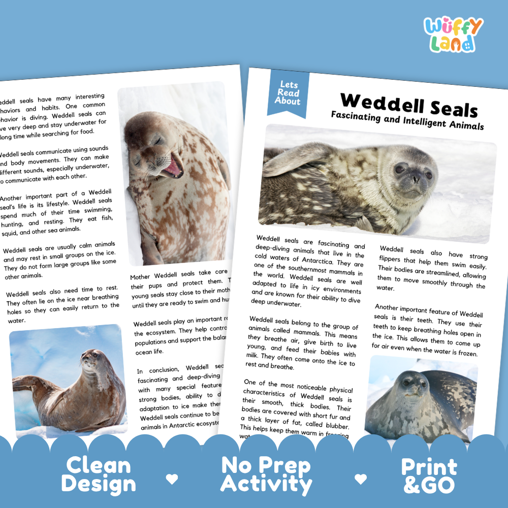 A printed educational booklet about Weddell Seals laid on a light blue background with three inset photos and the text 'Let's Read About Weddell Seals.' The top right shows the 'wifly land' logo.