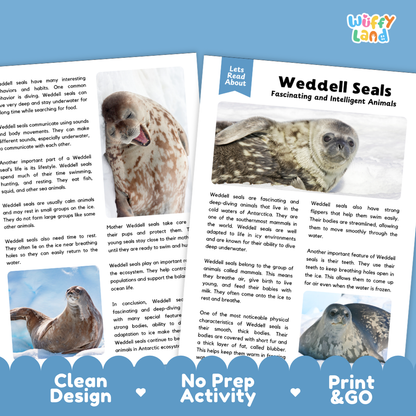 A printed educational booklet about Weddell Seals laid on a light blue background with three inset photos and the text 'Let's Read About Weddell Seals.' The top right shows the 'wifly land' logo.