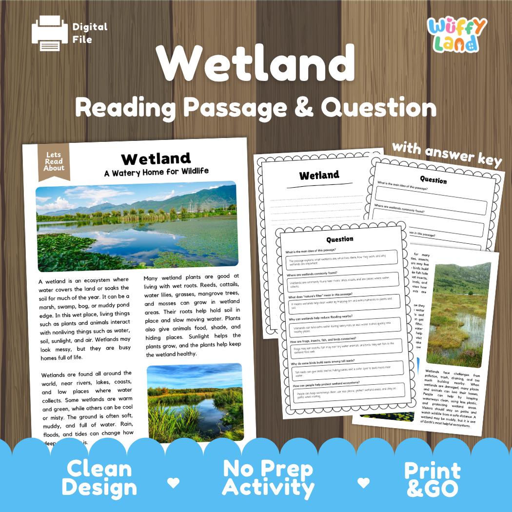 Wetland ecosystem reading comprehension passage and questions printable activity pack with answer key for elementary students