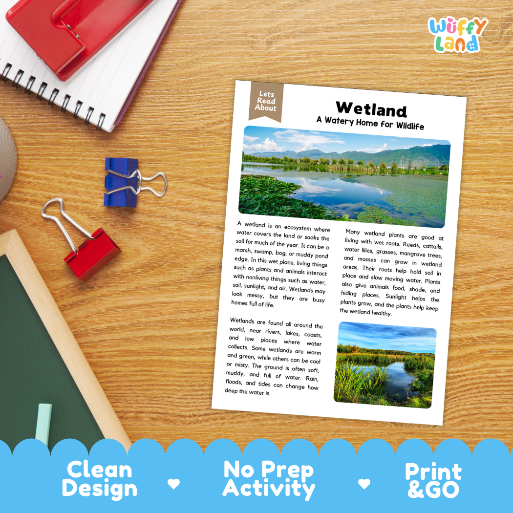 Student reading comprehension worksheet with short-answer questions and handwriting lines about wetlands